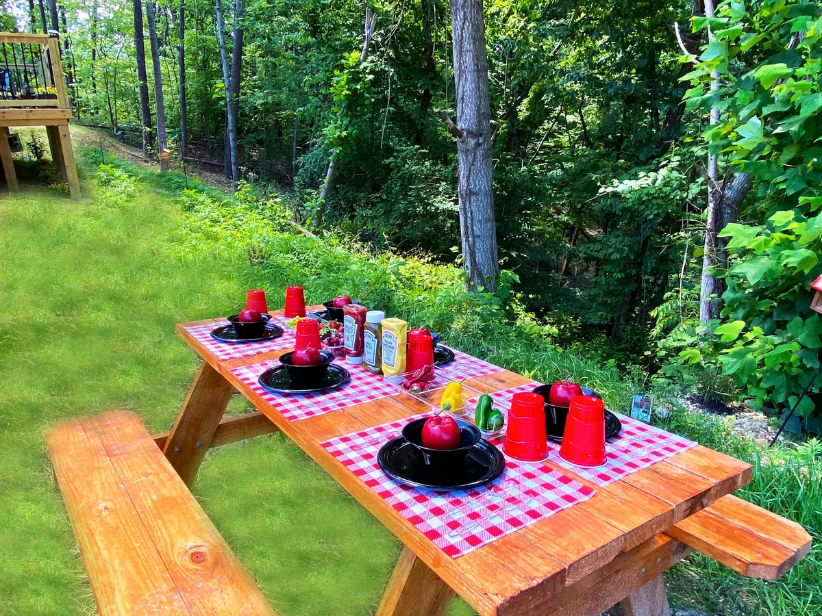 A cheerful outdoor picnic table scene with red cups, black plates on a checkered tablecloth, and vibrant green foliage in the background. The image radiates a carefree, fun atmosphere suited to friendly gatherings and laughter-filled meals.